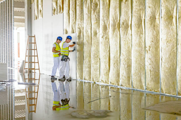 Best Insulation Maintenance and Repair in Fort Lewis, WA